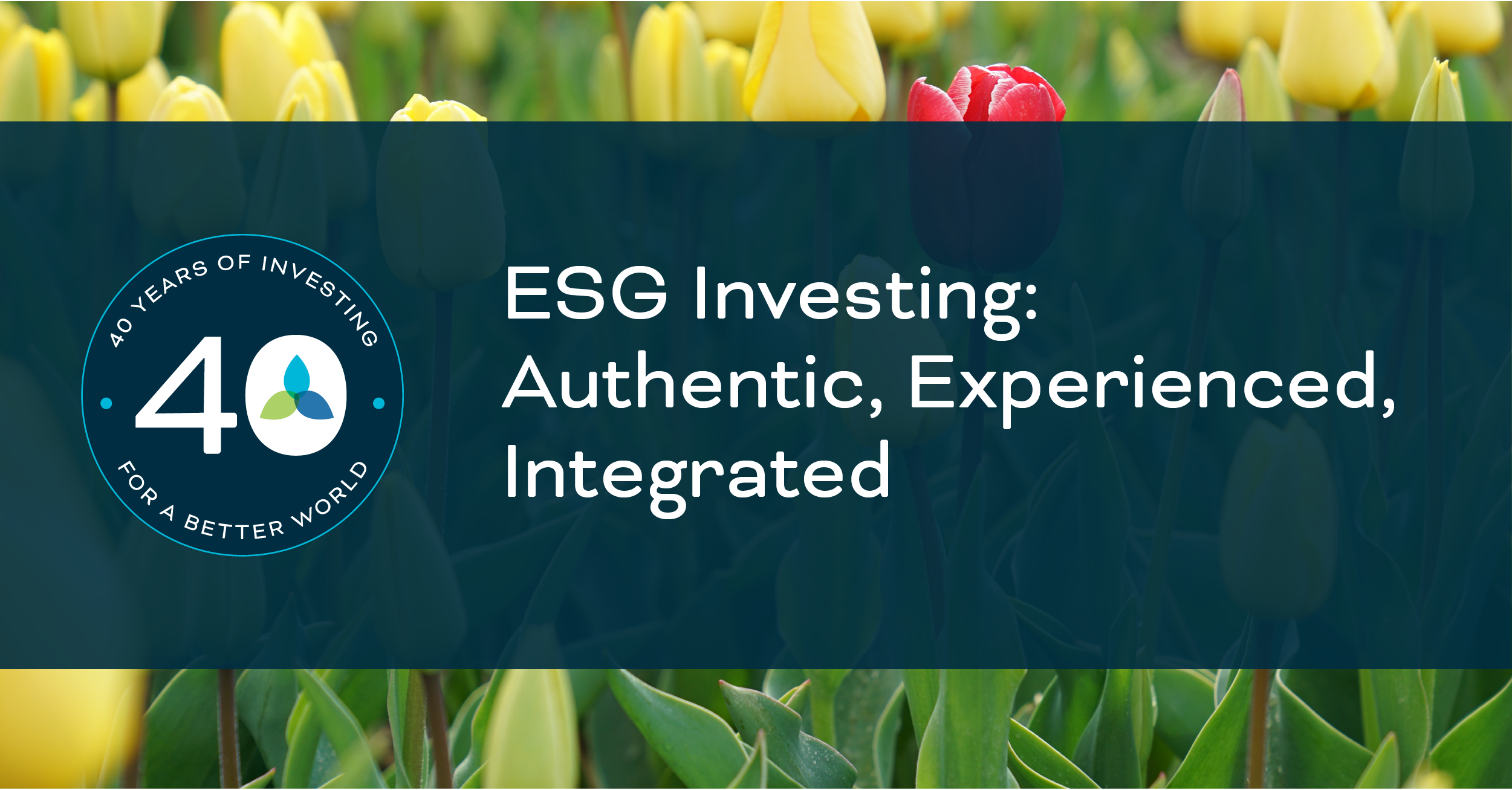 News & Views Trillium Asset Management